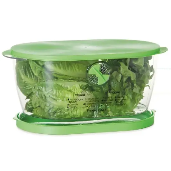 Progressive Lettuce Keeper image {5}