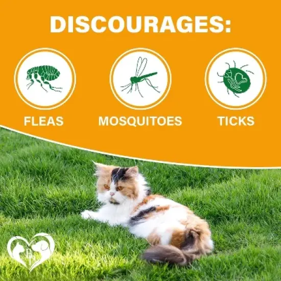 Beloved Pets Flea & Tick Support Chewable Treats with Chicken Flavor for Cats, 10 Oz - 1 Pack image {1}