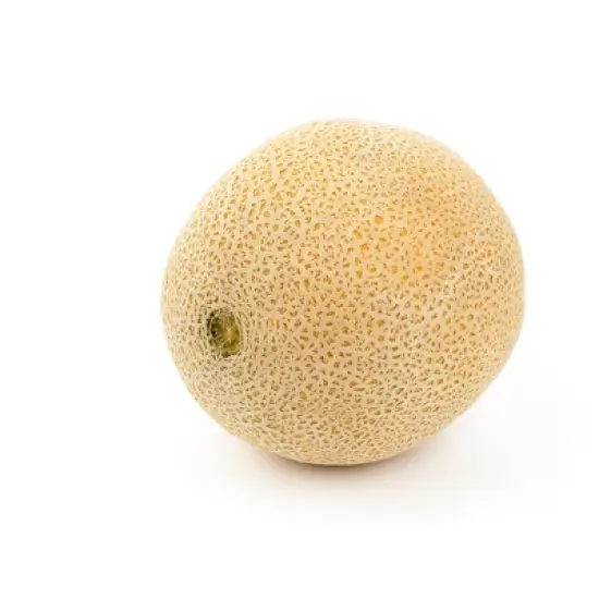 Fresh Cantaloupe - each image {4}