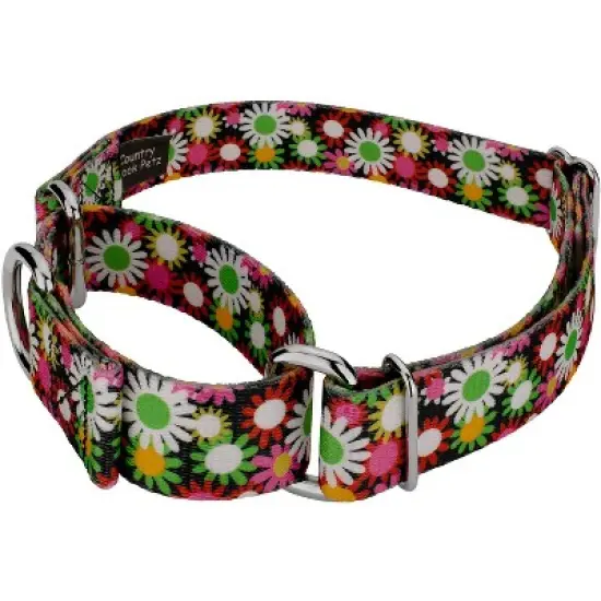 Country Brook Petz Daisy Fields Martingale Dog Collar image {4}