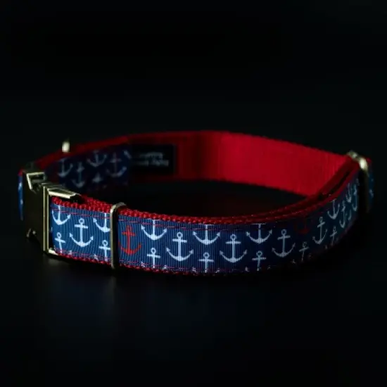 Country Brook Petz Signature Dog Collar Collection image {9}