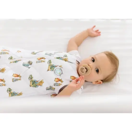 Dreamland Baby Weighted Sleep Sack Wearable Blanket image {1}