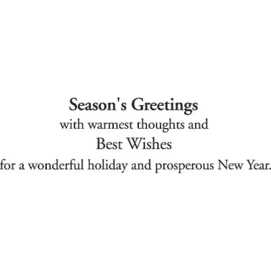 CEO Cards Holiday Greeting Card Box Set of 25 Cards & 26 Envelopes - H7043 image {2}