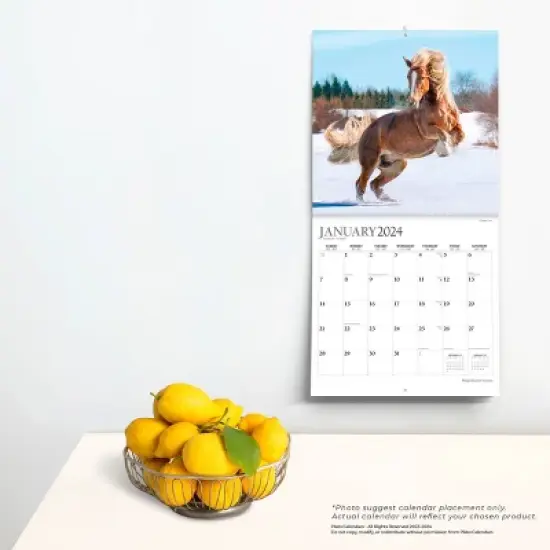 Plato 2023-2024 Wall Calendar 12"x12" Magnificent Horses image {3}