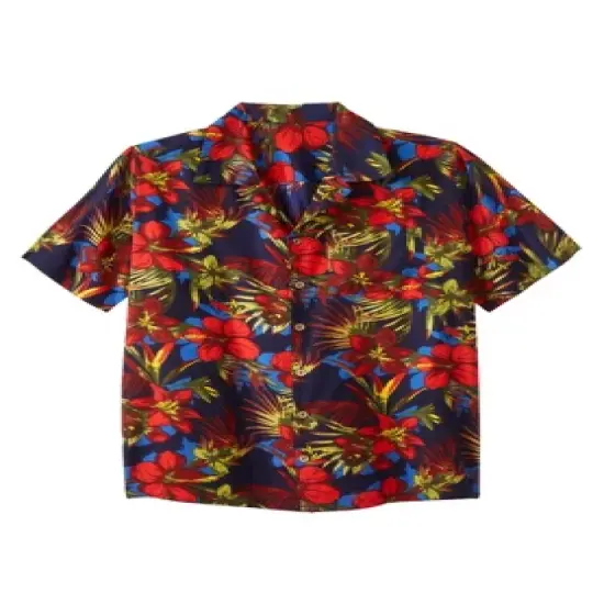 KS Island by KingSize Men's Big & Tall  Printed Rayon Short-Sleeve Shirt image {26}