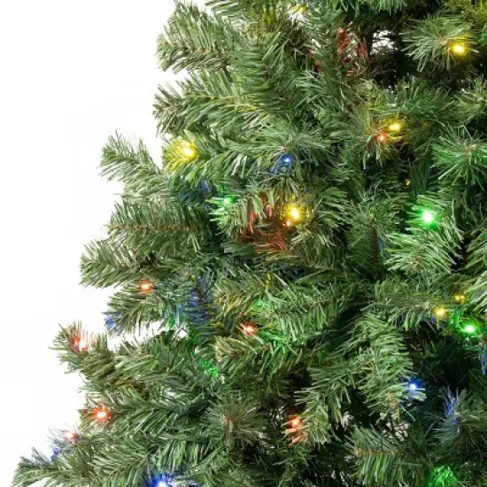 National Tree Company First Traditions 6' Pre-Lit LED Sagamore Artificial Christmas Tree Multicolor Lights image {2}
