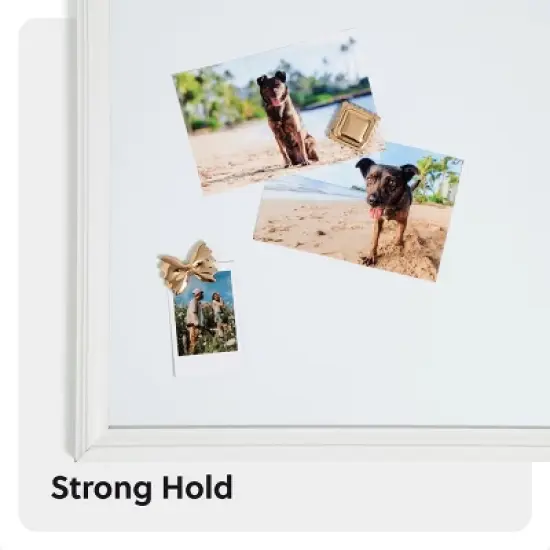 U Brands 3ct Pasta Magnets Gold image {4}