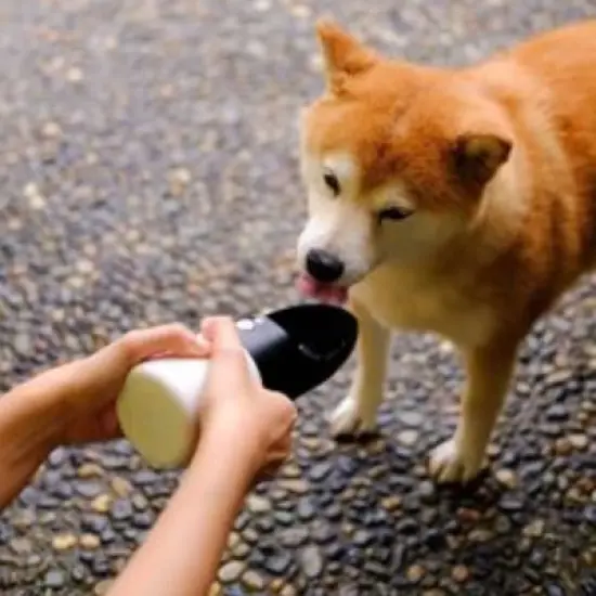 Instachew Rover Travel Pet Water Bottle - Black image {3}