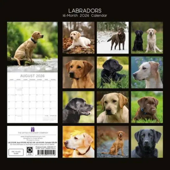 2026 Square Wall Calendar, Labradors, 16-Month Animals Theme with 180 Reminder Stickers (12x12 In) image {3}