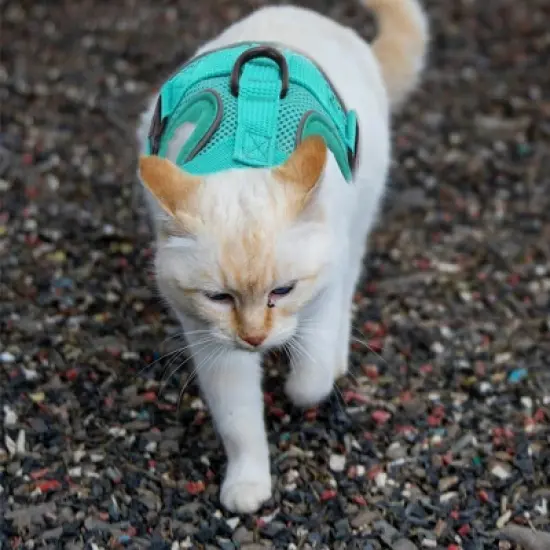 Unique Bargains Cat Harness and Leash with Reflective Strips Small Lake Blue 1 Set image {5}