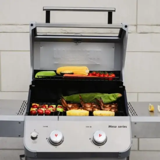 Monument Grills Mesa Series 2 Burner Stainless Steel Grill image {3}