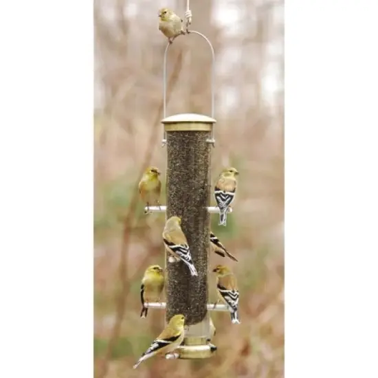 Aspects Quick-Clean Tube Wild Bird Feeder with 8 Perches, 1.25 Quart Capacity, Antique Brass image {1}