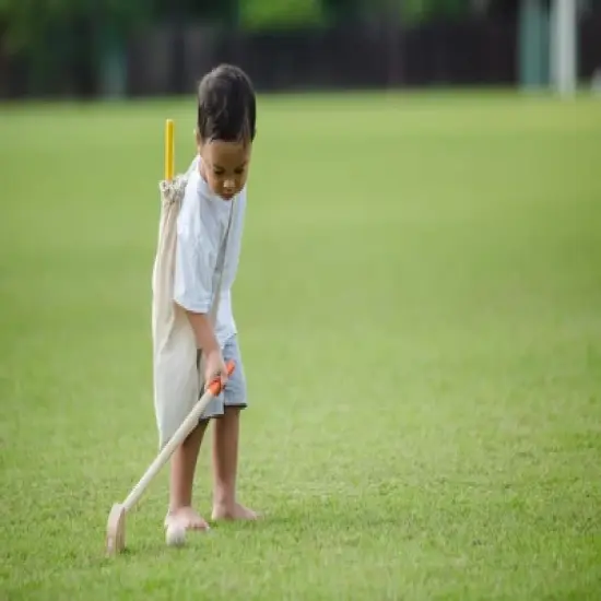 Plantoys| Mini Golf - Full Set image {5}