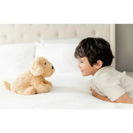 Intelex Warmies Microwavable Plush 13" Golden Dog image {3}