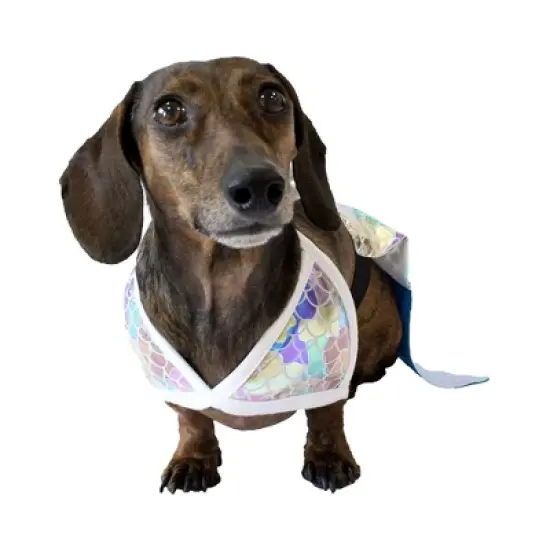 Midlee Mermaid Dog Halloween Costume image {2}