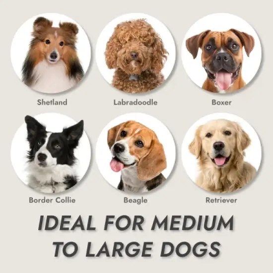 KONG Double-Sided Rake, Detangling and Deshedding Dog Grooming Brush image {5}