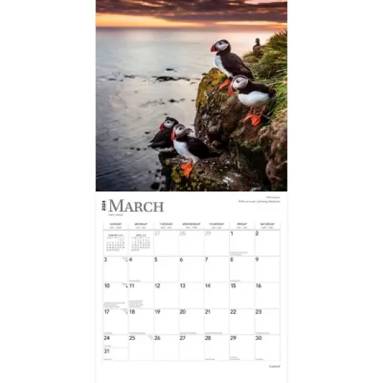 Browntrout 2024 Wall Calendar 12"x12" Iceland image {2}
