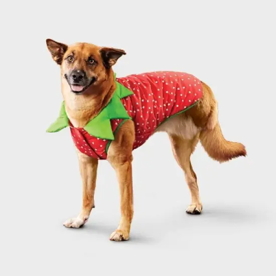Reflective Strawberry Dog Vest - Boots & Barkley&trade; Cherry Red image {8}