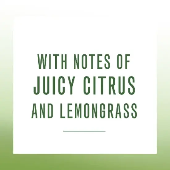 Starborough New Zealand Sauvignon Blanc White Wine - 750ml Bottle image {2}