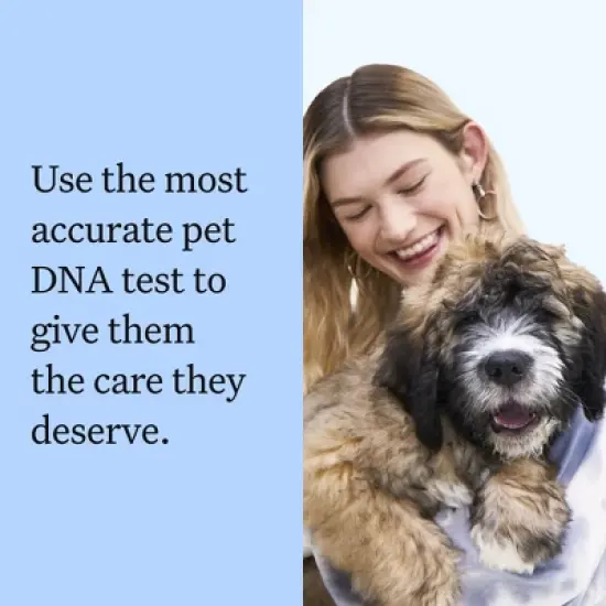 Wisdom Panel Breed Discovery Dog DNA Kit: Most Accurate Dog Breed Identification, Test for 365+ Breeds, MDR1 Health Test, Ancestry, Relatives image {2}