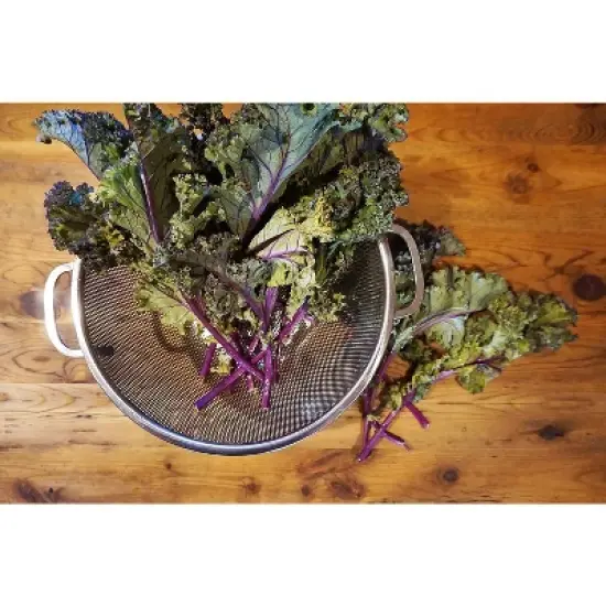 International International Endurance Stainless Steel Precision Pierced Colander, 5-Quart (Punch-5), Silver image {5}