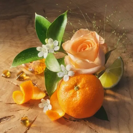 Being Frenshe Revitalizing and Hydrating Bath Soak with Coconut Milk & Gardenia Citrus Amber Floral - 8oz image {4}