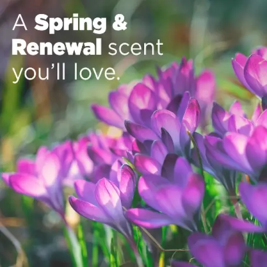 Tide Power Pods Febreze Odor Eliminator Laundry Detergent - Spring and Renewal image {6}