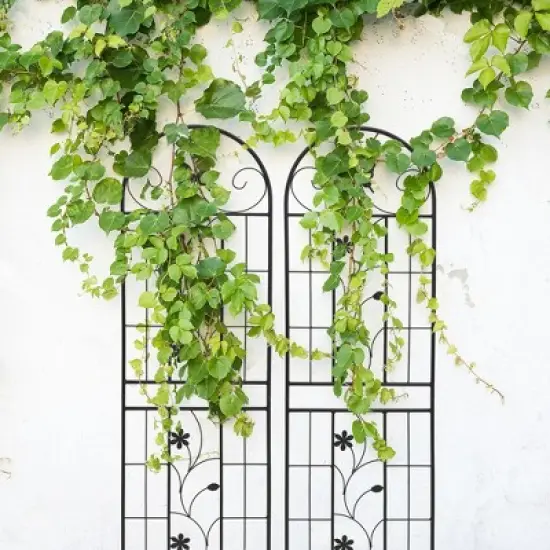 MOEPISY 2 Pack Metal Garden Trellis 71 inch x 19.7 inch Black image {3}