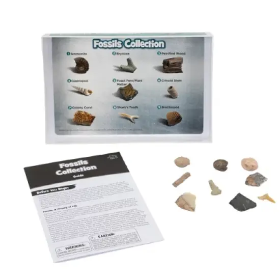 Educational Insights Fossil Collection image {3}