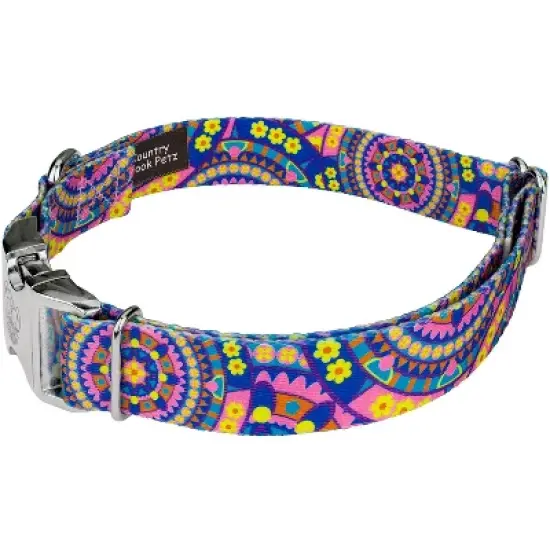 Country Brook Petz Premium Dog Collar - Groovy Collection image {1}