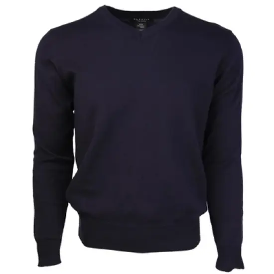 Men's Modern Fit Solid V-neck Cotton Sweater image {5}