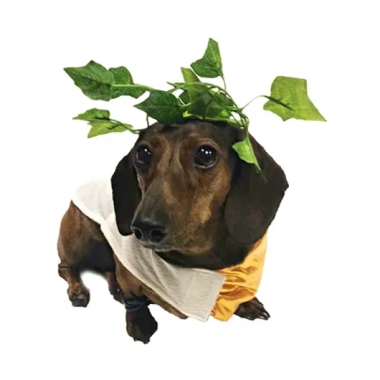 Midlee Toga Dog Costume image {8}