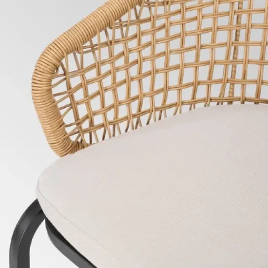 Arias Set of 2 Wicker Club Chair - Light Brown/Beige - Christopher Knight Home image {4}