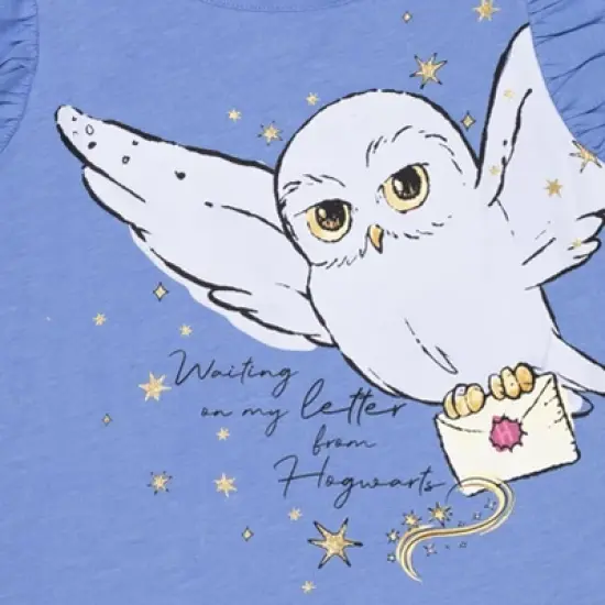 Harry Potter Hogwarts Hedwig Owl 2 Pack Graphic T-Shirts Maroon / Blue  image {7}