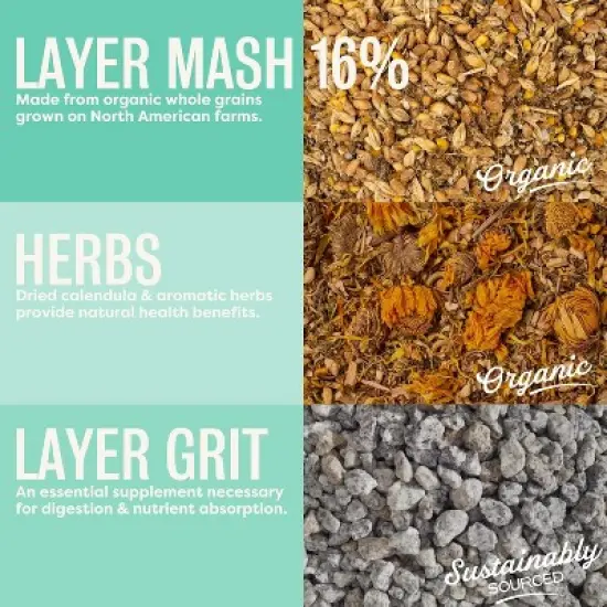 Scratch and Peck Feeds Cluckin Good Organic 3 Grain Scratch Chickens and Ducks Feed - 10 lbs image {1}