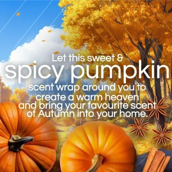 Air Wick Scented Oil Air Fresheners - Pumpkin Spice 2ct image {3}