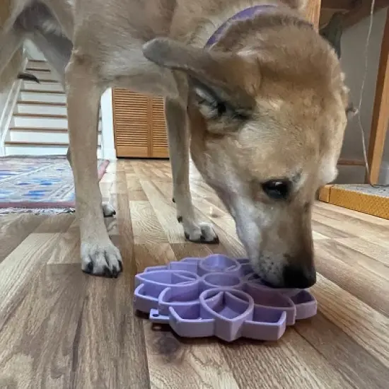 Mandala Softie eTray Enrichment Shallow Slow Feeder Dog Bowl with Suction Cups image {6}