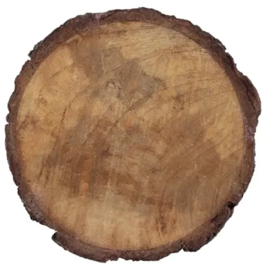 Dainty Home Wood With Tree Bark Designed 4" Round Coaster Set Of 4 image {1}