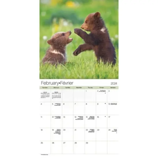 Trends International Inc. 2023-24 Wall Calendar 12"x12" Animal Babies Bilingual English/French image {2}