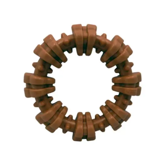 Nylabone Dura Chew Textured Ring - Flavor Medley image {1}