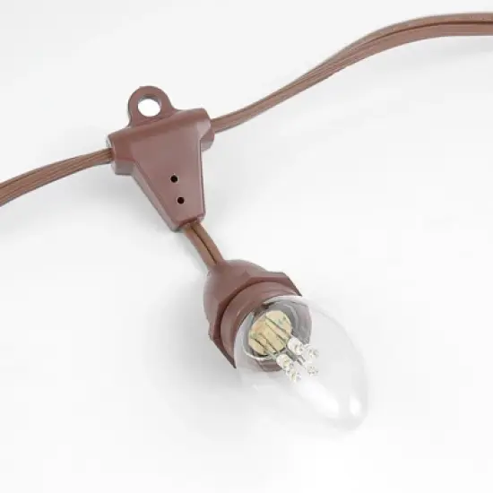 Novelty Lights Globe Outdoor String Lights with 100 suspended Sockets Suspended brown Wire 100 Feet image {5}