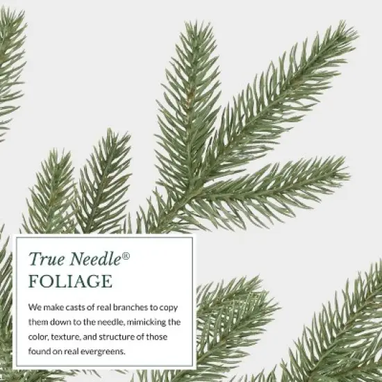 Balsam Hill 9' Clear LED Stratford Spruce Tree image {7}