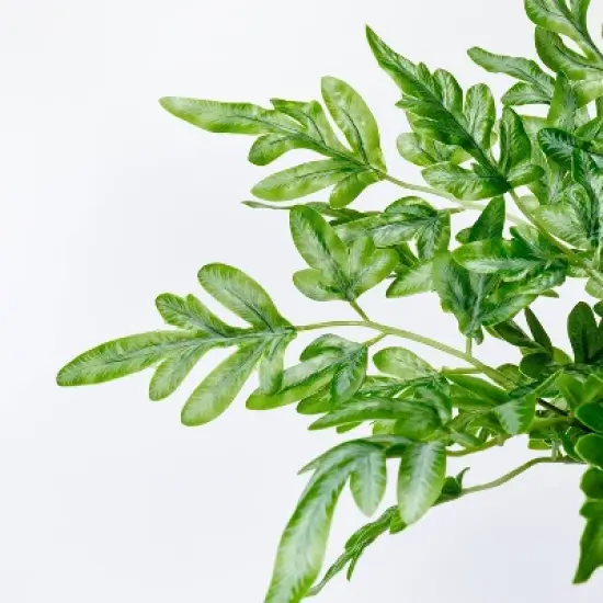 Small Artificial Ribbon Fern Leaf in Pot - Threshold&trade; designed with Studio McGee image {2}