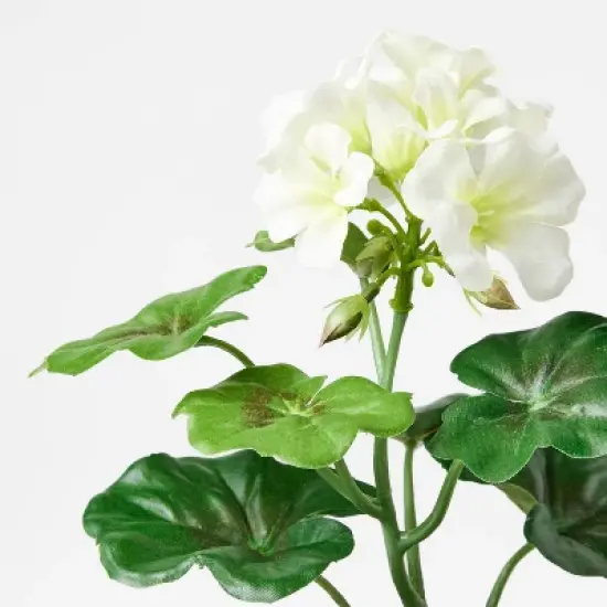 Set of 3 Geranium Potted Arrangements - Threshold&trade; designed with Studio McGee image {2}