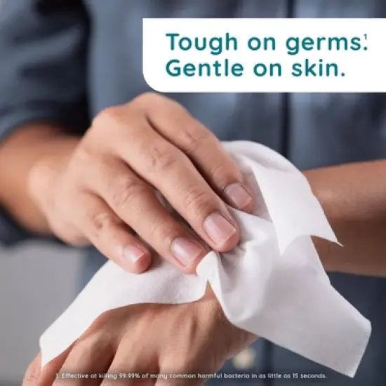 Wet Ones Antibacterial Hand Wipes Eucalyptus & Mint - 150ct image {2}