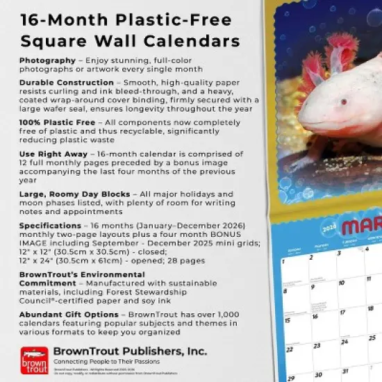 BrownTrout Adorable Axolotl 2026 12"x24" Hanging Square Wall Calendar Plastic-Free image {5}