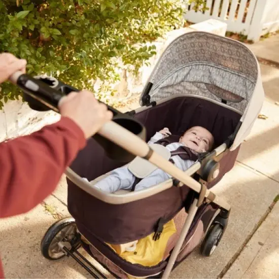 Safety 1st Grow and Go Flex Deluxe Travel System image {13}