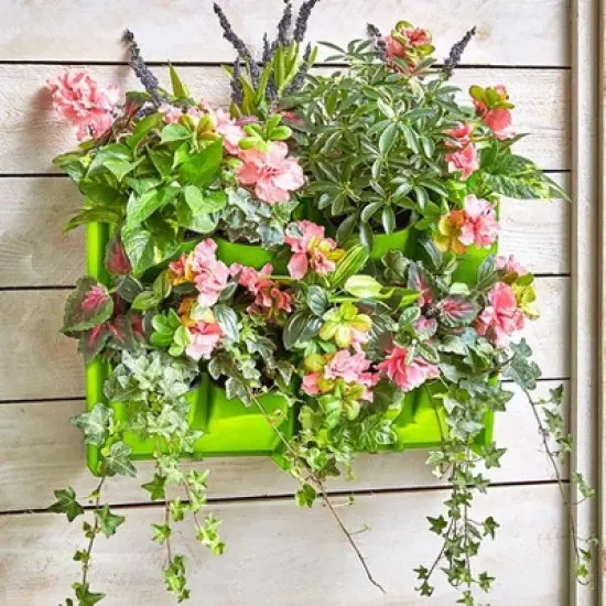 The Lakeside Collection Double Wall Planter for Vertical Gardens, Living Walls - Indoor/Outdoor image {2}