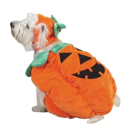 Zack & Zoey Pumpkin Pooch Dog Costume image {5}
