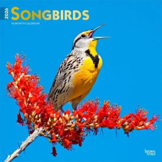 BrownTrout Songbirds 2026 12"x24" Hanging Square Wall Calendar Plastic-Free image {9}